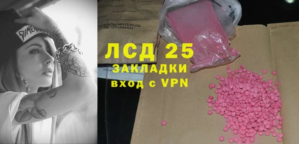 прущие грибы Алзамай