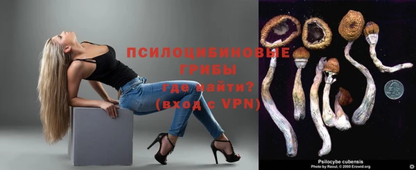 метадон Алексин