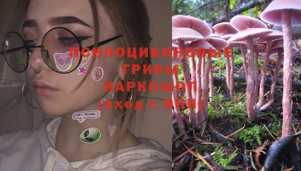 прущие грибы Алзамай