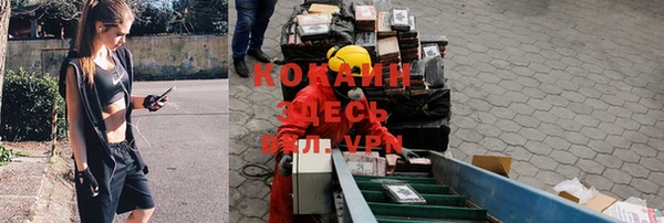прущие грибы Алзамай