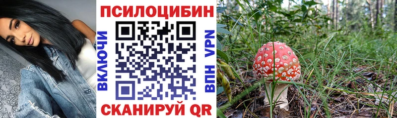 купить наркотик  blacksprut ССЫЛКА  Псилоцибиновые грибы GOLDEN TEACHER  Луза 
