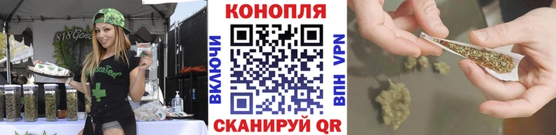 Конопля MAZAR  Луза 